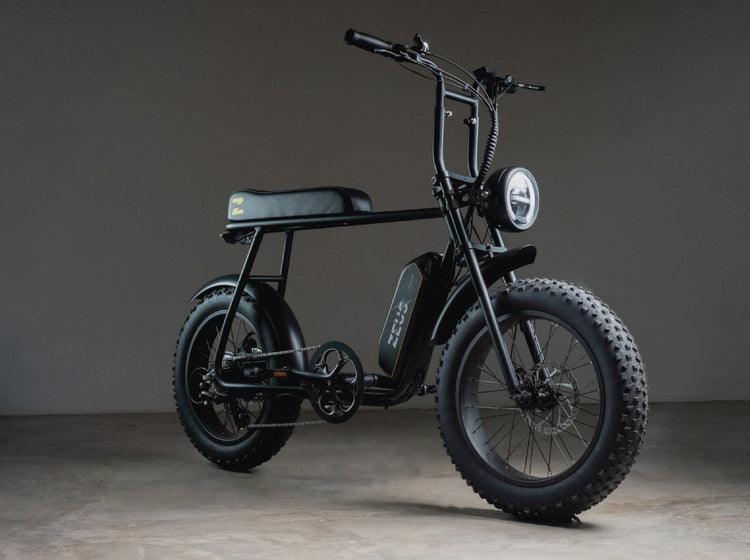 Zeus E Bike 15AH LG BATTERY Omega
