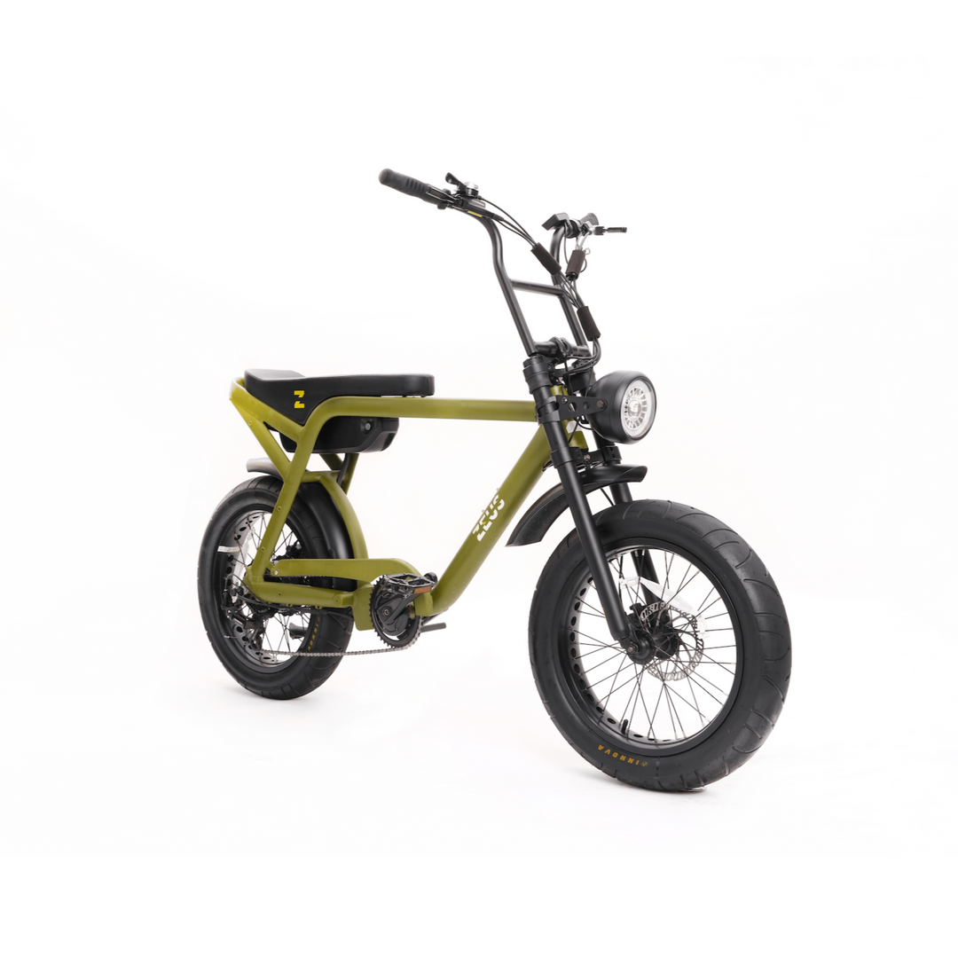 ZEUS BIKES E Bike Bolt Celtic Green