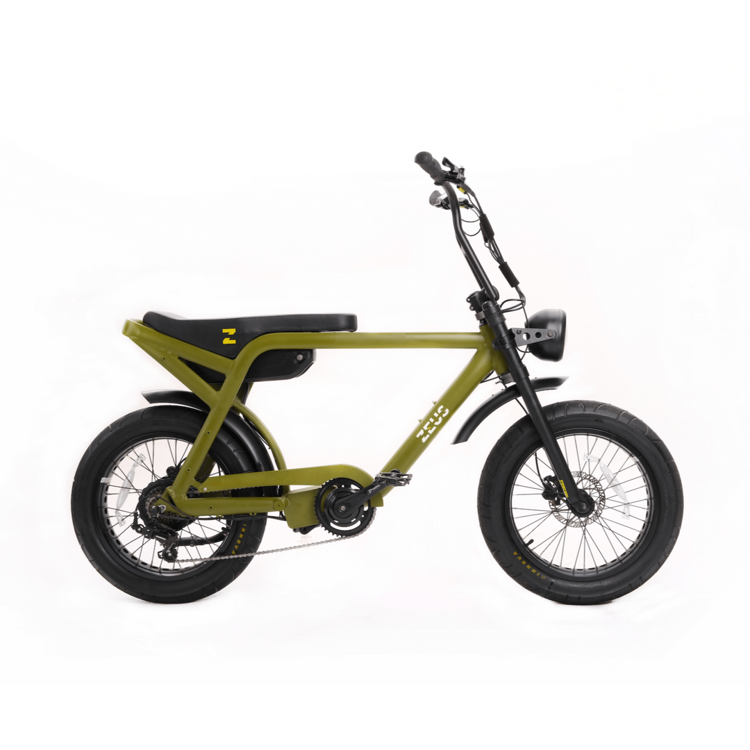 ZEUS BIKES E Bike Bolt Celtic Green