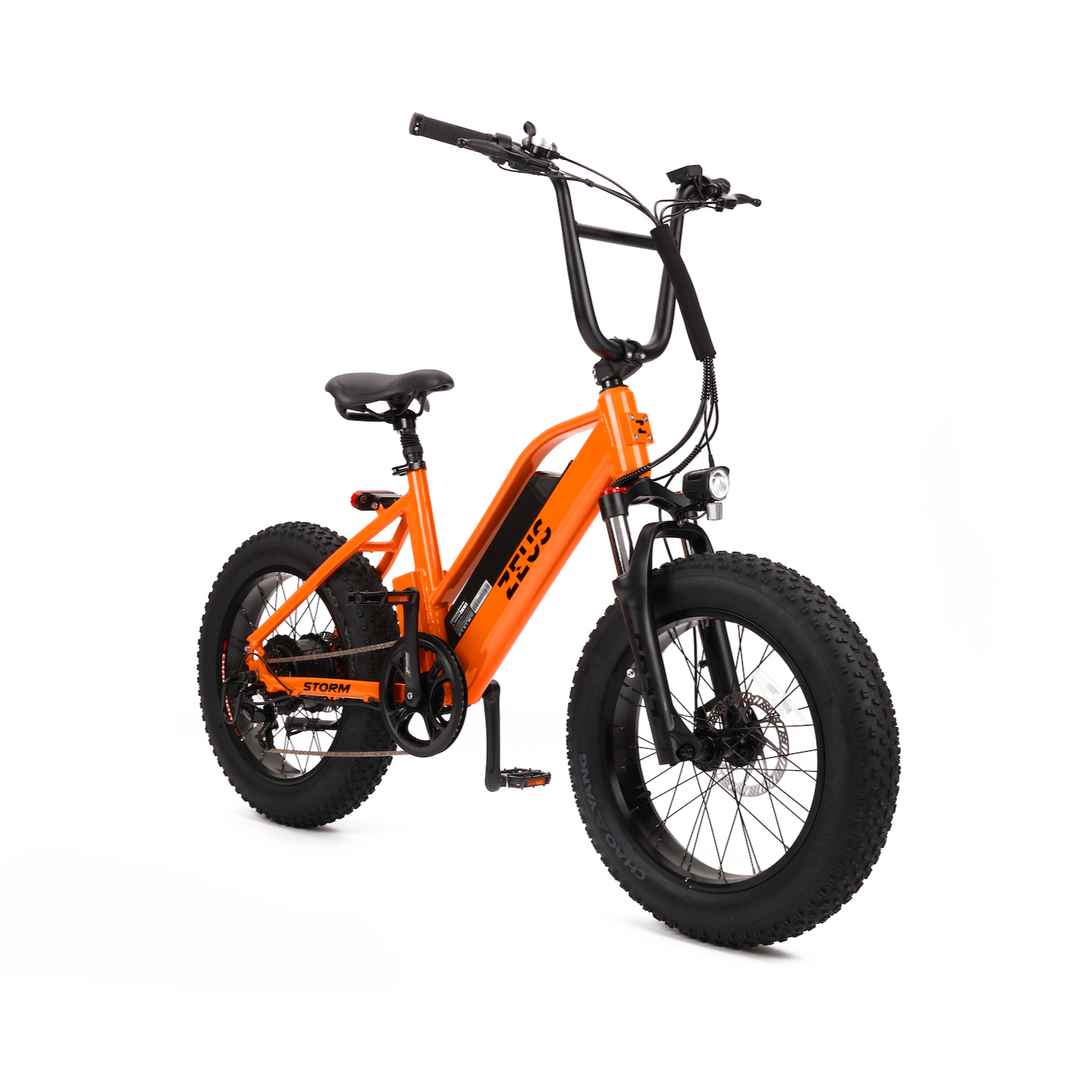 ZEUS BIKES E Bike Molten Speed Storm bmx style ebike