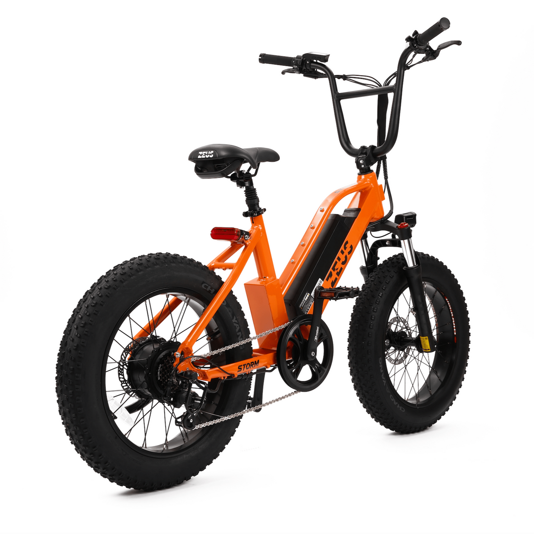 ZEUS BIKES E Bike Storm bmx style ebike