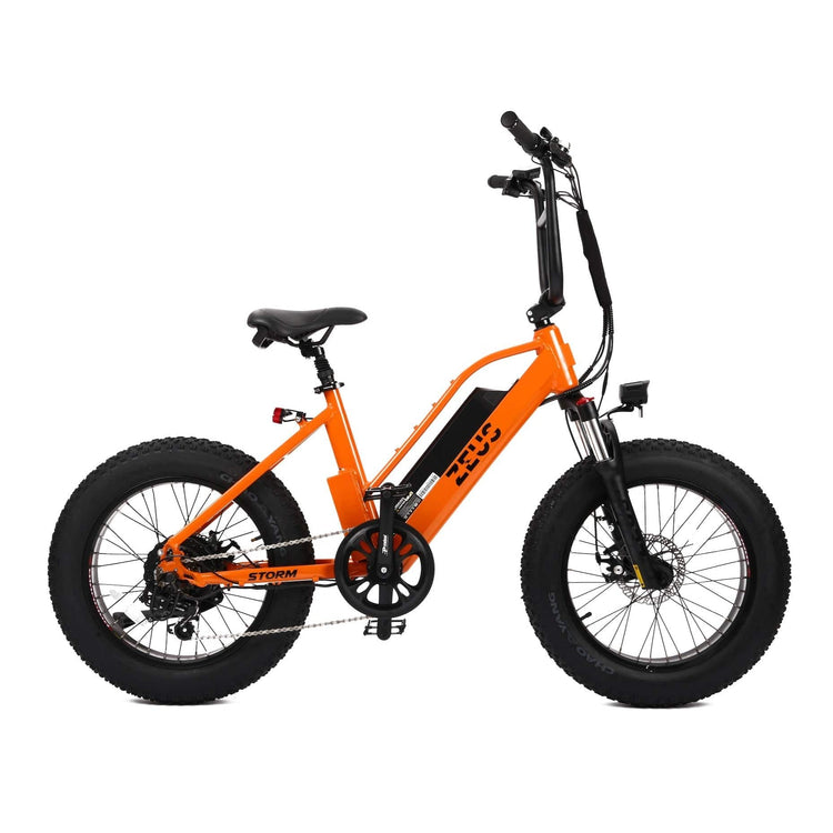 ZEUS BIKES E Bike Storm bmx style ebike