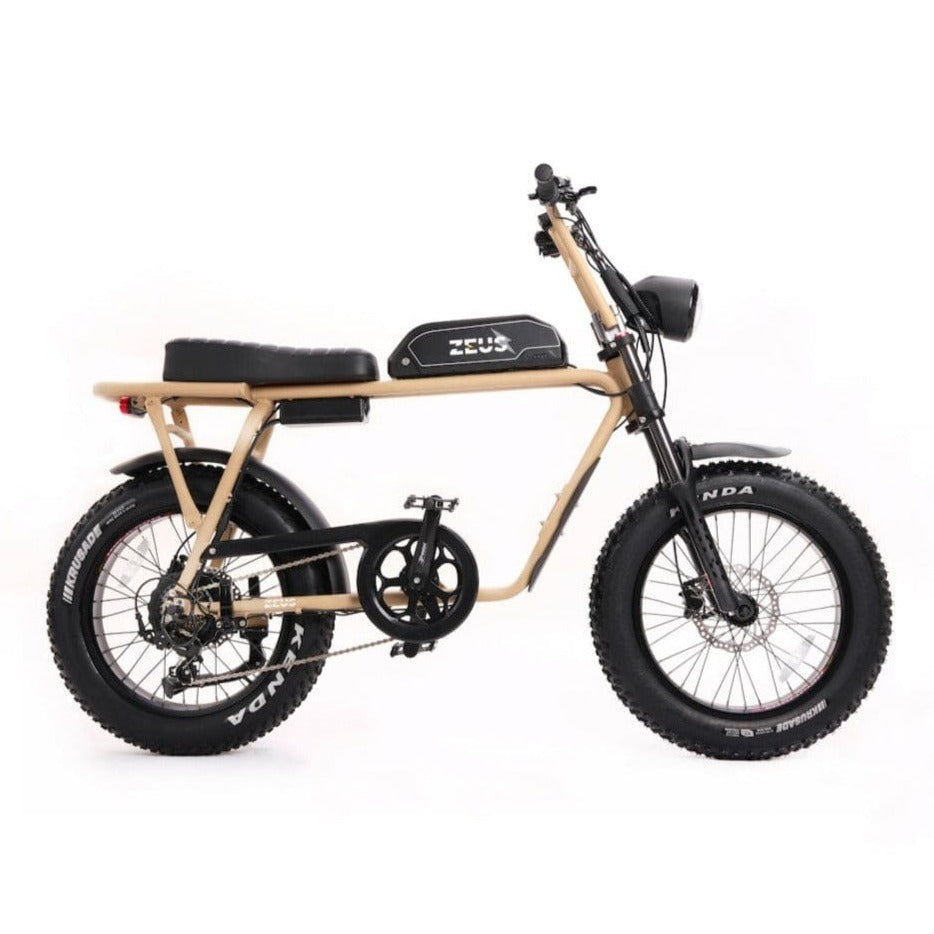 ZEUS CYCLES ENTERPRISE E Bike Alpha S dune racer