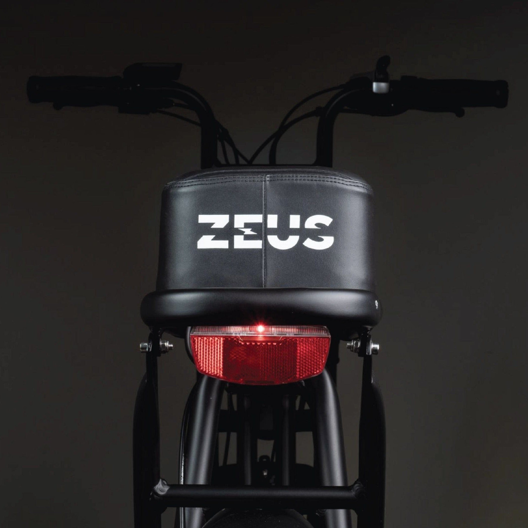 zeus E Bike Alpha